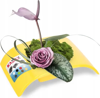 Produktbild von KADAX Ikebana aus Kunststoff, Ikebana Vase, Blumentopf, Blumenschale, Japanischer Blumenhalter