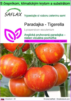 Obrázok produktu pre SAFLAX Garden to go - Paradajka - Tigerella - Lycopersicon esculentum - 10 Semená - S črepníkom, klimatickým vekom a pestovateľským substrátom