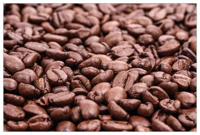 Produktbild von Wallario Küchenrückwand selbstklebend, Größe: 90 x 60 cm, Motiv: Frisch geröstete Kaffeebohnen | Spritzschutz | abwischbar | pflegeleicht | in