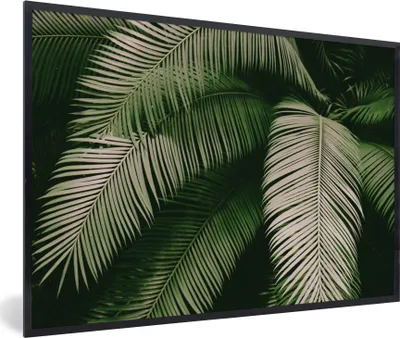 Produktbild von MuchoWow® Gerahmtes Poster Palmwedel - Sommer - Tropisch 30x20 cm - Poster mit Schwarzem Bilderrahmen Wandposter Rahmen Foto Bilder - Kunstdruck - Bild-Poster