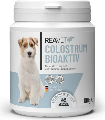 Produktbild von REAVET Colostrum Pulver für Hund & Katze 100g - Immun Boost mit hohem Immunglobulin Gehalt, Immunsystem stärken, Magen & Darm, Natürliches Kolostrum
