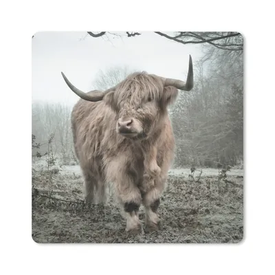 Produktbild von MuchoWow® Mauspad Mousepad Schottischer Highlander - Wald - Nebel - Kuh - Tiere - Natur 20x20 cm - Mousepads - Maus Mat - Pad - Mausunterlage - Desk Mat - Bureauartikeln