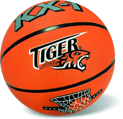 Obrázek produktu pro Basketbal – originální verze
