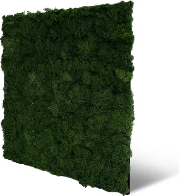 Produktbild von 0,27m² 3d Paneele Moos Paneelen Mooswand Wandpaneele Deckenpaneele Schalldämmung PET Filz (11103 - Dark Green)