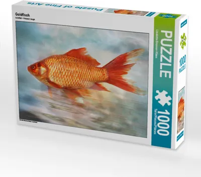 Produktbild von CALVENDO Puzzle Goldfisch | 1000 Teile Lege-Größe 64x48cm Foto-Puzzle für glückliche Stunden
