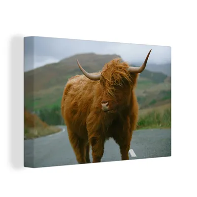 Produktbild von OneMillionCanvasses® - Leinwandbilder - 150x100 cm, Schottisches Hochlandrind - Berg - Straße, Wandbilder Kunstdruck Wanddekoration