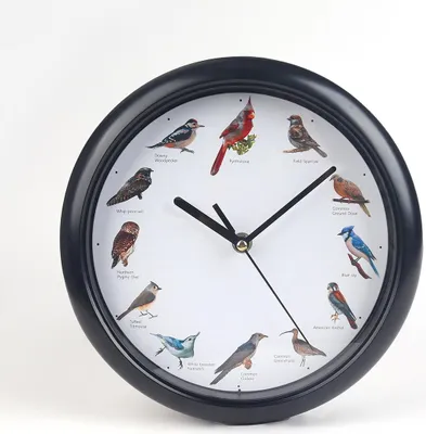 Immagine prodotto di Orologio sonoro al canto degli uccelli