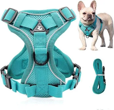 Produktbild von Famanu Hundegeschirr Verstellbar und Reflektierend - Sicheres und Bequemes Geschirr für Kleine Hunde