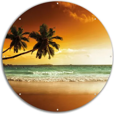 A circular image of a tropical beach scene at sunset with palm trees in the foreground and the ocean in the background.