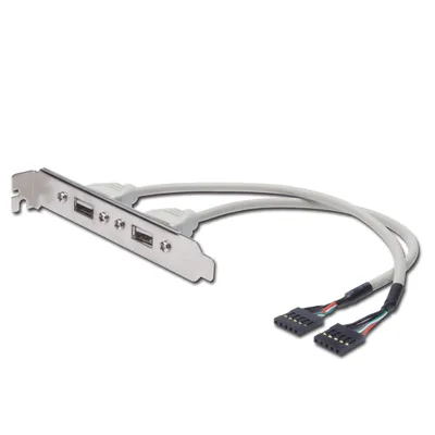 Image de DIGITUS Slotblech 2xUSB/A -> IDC 2x5Pin Bu/Bu 0.25m Polybeutel