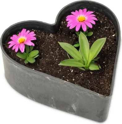 Produktbild von Herz Pflanzschale für draussen marmoriert Dekoschale schwarz 26 cm