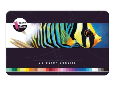 Image de Crayons de couleur 36 pièces dans une boîte en métal