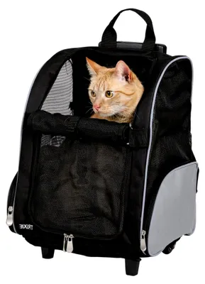 Produktbild von Trolley, 32 × 45 × 25 cm, schwarz/grau