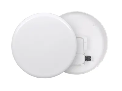 Productafbeelding van Gildun LED-plafondlamp, IP65, 19W, 4000K