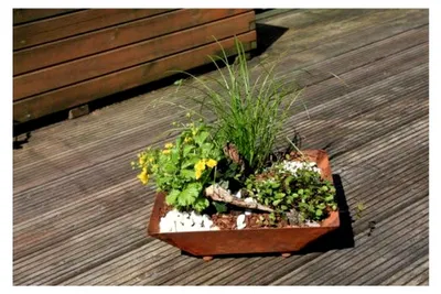 Produktbild von Rostschale S01 Pflanzschale Dekoschale