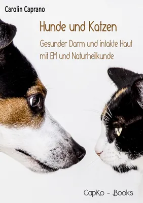Produktbild von Hunde und Katzen