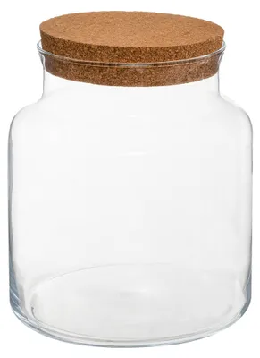 Obrázok produktu pre Sklenená váza s korkom na les v skle, v. 21,5 cm