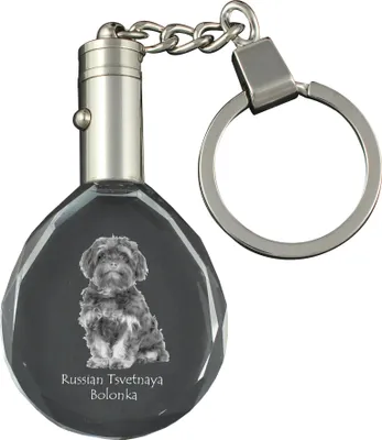 Produktbild von Bolonka, Russian Tsvetnaya Bolonka, Bolonka Zwetna - Anhänger mit einem Foto eines Hundes, Schlüsselanhänger aus Kristall in einer Geschenkbox, ein einzigartiges Geschenk von Art-Dog