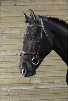 Immagine prodotto di Norton Equestrian Trimmed Halfter Grau Cob Grau Cob