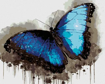 Produktbild von Zuty - Malen nach Zahlen - SCHWARZ-BLAUER SCHMETTERLING, 40x50 cm, ohne Keilrahmen