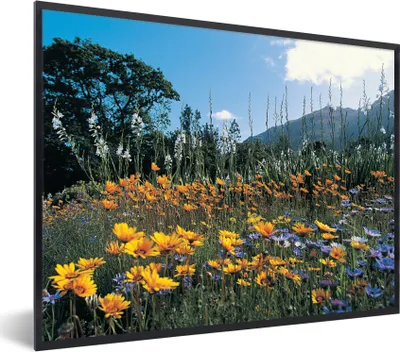 Produktbild von MuchoWow® Gerahmtes Poster Blumen - Natur - Farbe 80x60 cm - Poster mit Schwarzem Bilderrahmen Wandposter Rahmen Foto Bilder - Schwarzem - Mit Gestell