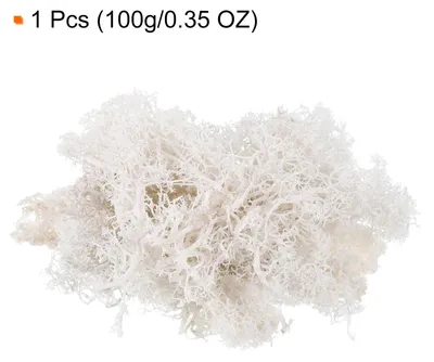 Produktbild von 3,5 Unzen Moos Fake Craft Moos Kš¹nstliches Moos Natš¹rliches Konserviertes Moos fš¹r Bastelkunst Florales DIY-Projekt Wand Hochzeit Garten Terrarien Dekoration (Wei?)