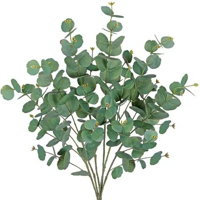 Obrázek produktu pro Umělé stonky eukalyptu, 86 cm, umělé zelené listy, stříbrné listy, pro květinové aranžmá a dekorace