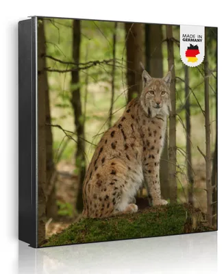 Produktbild von banjado Schlüsselkasten aus Metall, 30x30cm groß mit 32 Haken, als Magnettafel nutzbar, Korpus schwarz, Anschlag links, Luchs [SKG2 10487]