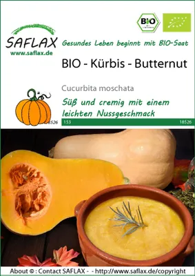 Productafbeelding van SAFLAX - - Pompoen - Butternut - 6 zaden - Cucurbita moschata
