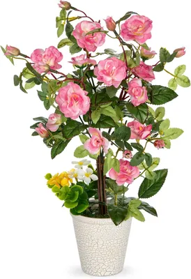 Obrázek produktu pro Umělá kamélie v květináči, realistická dekorace, růžová, 37 cm