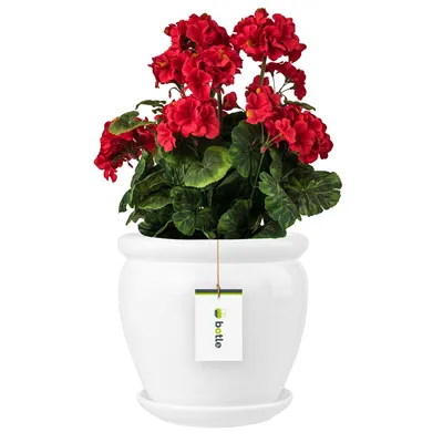 Produktbild von Blumentopf Blumenübertopf Weiß Blumenschale mit Untersetzer Rund DxH 280 mm x 305 mm Oberfläche Glanz Keramik Modern Glamour