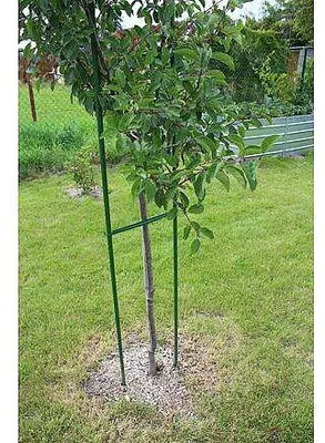 Immagine prodotto di Palo da giardinaggio 11 Lunghezza del palo da giardino 180 cm