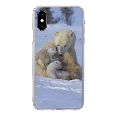 Produktbild von MuchoWow® Handyhülle Schutzhülle Hülle für iPhone X Eisbären - Schnee - Weiß Silikon Softcase Handy Hülle - Handyhülle