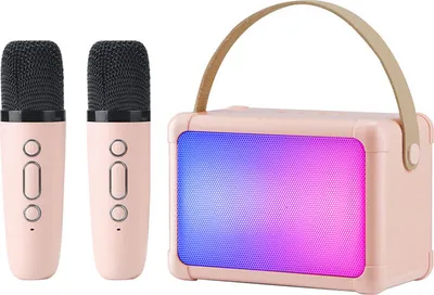 eleoption Reproduktor se 2 karaoke mikrofony, přenosný Bluetooth karaoke reproduktor pro děti a dospělé s LED světly, dárky pro dívky a chlapce, Vánoce, narozeniny (růžový)