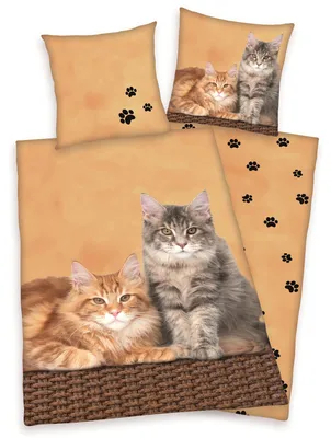 Immagine prodotto di Biancheria da letto reversibile per gatti 135 x 200 cm