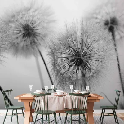 Produktbild von Vlies Fototapete - Time for Dandelions - Second Variant 100x70 cm Blumen b-B-0669-a-c