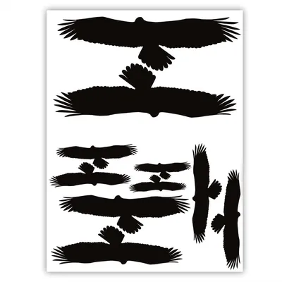 Produktbild von 10er Aufkleber-Set Vogelschutz und Fensterschutz I hin_125 I Vogel-Silhouette als Schutz für Vögel, Glas-Tür, Fenster-Scheibe, Wintergarten
