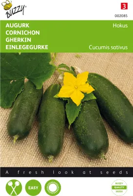 Produktbild von Einlegegurke Hokus | Einlegegurkensamen von Buzzy Seeds [MHD 07/2026]