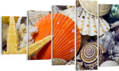 Produktbild von Bild auf Leinwand - Leinwandbild - Seashell Meer Strand Sand - 100x60cm - Wand Bild - Wanddeko - Leinwanddruck - Bilder - Kunstdruck - Wanddekoration - Leinwand bilder - Wandkunst - EG100x60-0456
