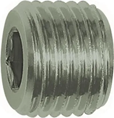 Produktbild von Riegler Verschlussschraube, Innensechskant, ohne Bund, R 1, ES 1.4571