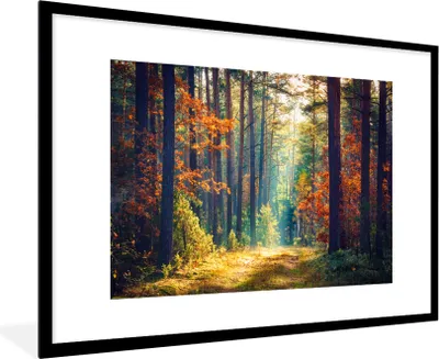 Produktbild von MuchoWow® Gerahmtes Poster Wald - Sonne - Natur - Herbst 90x60 cm - Poster mit Schwarzem Bilderrahmen Wandposter Rahmen Foto Bilder - Wanddekoration - Fotos