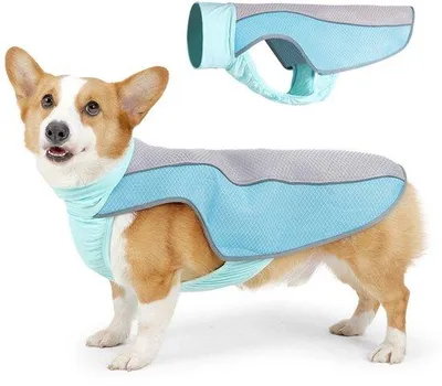 Produktbild von Kühlweste für Hunde – Leichte Kühlweste für Hunde – Atmungsaktives Mesh-Kühlshirt für Hunde – Mit reflektierenden Streifen – Schutz vor sommerlicher Hitze – Geeignet für Strand, Spaziergänge, Wanderungen, Outdoor-Aktivitäten, Jagd, Training, Camping (XL)