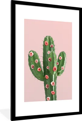 Produktbild von MuchoWow® Gerahmtes Poster Kaktus - Stillleben - Blumen 60x90 cm - Poster mit Schwarzem Bilderrahmen Wandposter Rahmen Foto Bilder - Dekoration - Wandposter Wohnzimmer - Hochwertig