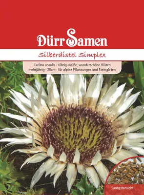 Produktbild von Silberdistel Simplex | Silberdistelsamen von Dürr Samen