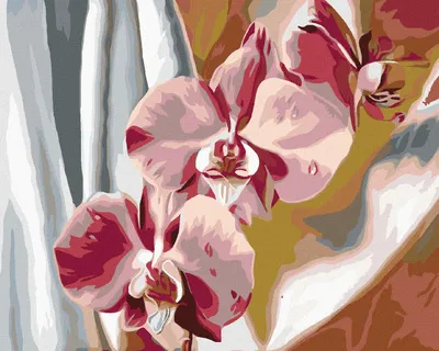 Produktbild von Zuty - Malen nach Zahlen - ROSA ORCHIDEE, 40x50 cm, ohne Keilrahmen