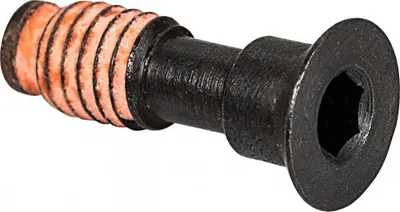 Image de Vis de galet de dérailleur SHIMANO pour RD-M972 - 2 pièces, env. 2 g, pièce de rechange pour S...