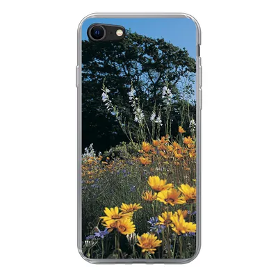 Produktbild von MuchoWow® Handyhülle Schutzhülle Hülle für iPhone SE 2020 Blumen - Natur - Farbe Silikon Softcase Handy Hülle - Kartenbesitzer