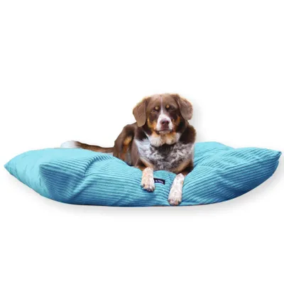 Produktbild von 4L Textil MOLLY Hundekissen flauschig Cord Hundebett Grosse Hunde mit Bezug und Reißverschluss kuscheliges Hundekissen waschbar (60x50 cm, Türkis (Stripes)