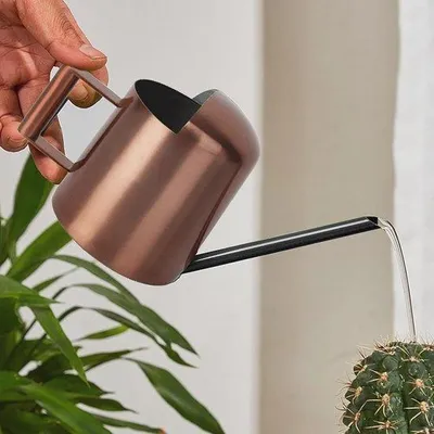 Produktbild von Mini Gießkanne für Zimmerpflanzen - Edelstahl, lange Auslauföffnung