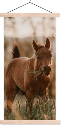 Produktbild von MuchoWow® Textilposter Pferd - Sonne - Gras 60x120 cm mit holzfarbenen Rahmen - Holz